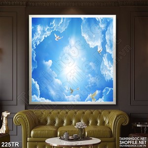 Tranh dán trần nghệ thuật bầu trời trong xanh