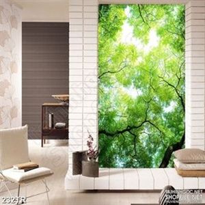 Tranh trần xuyên sáng dưới tán rừng xanh psd