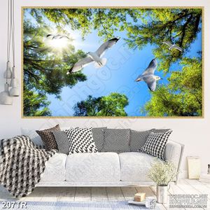 Tranh trần psd hải âu tung cánh bay trên rừng xanh