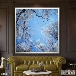 Tranh trần in uv rừng cây già dưới bầu trời xanh