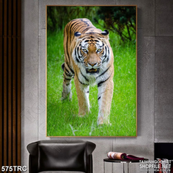 Tranh trang trí tường vua hổ đi săn mồi in kính