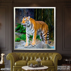 Tranh nghệ thuật hổ uy dũng mãnh in kính