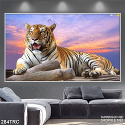 Tranh in canvas chú hổ dưới trời hoàng hôn