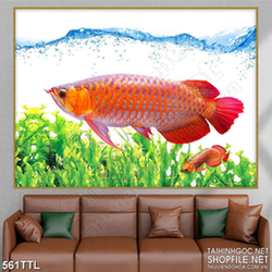 Tranh psd cá chép vàng bơi trong hồ nước trong