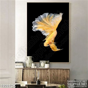 Tranh sơn dầu cá sim betta vàng cô đơn trong đêm in canvas