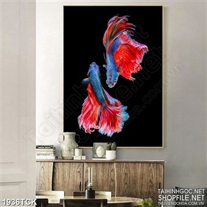 Tranh psd đôi cá sim betta đuôi đỏ trong hồ nước về đêm