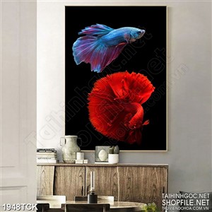 Tranh chiếc đuôi xinh đẹp của cá sim betta in dán tường