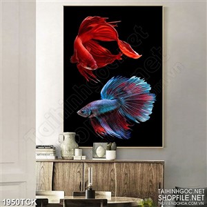 Tranh chiếc đuôi lộng lẫy của đôi cá sim betta in canvas