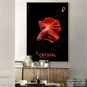 Tranh in canvas chú cá sim betta đuôi đỏ trên nền màu đen Tranh in canvas chú cá sim betta đuôi đỏ trên nền màu đen