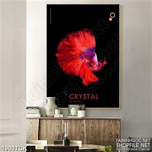 Tranh cá sim betta có chiếc đuôi màu đỏ rực in dán tường