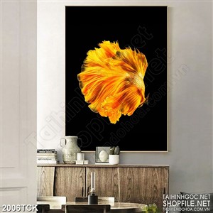 Tranh chú cá sim betta vẫy đuôi xinh đẹp in canvas
