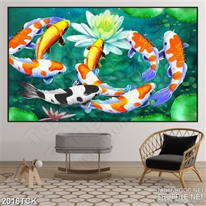 Tranh psd đàn cá koi bên bông hoa súng trắng trong hồ