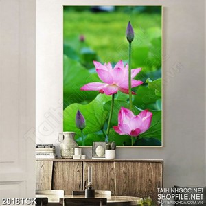 Tranh decor những đóa sen hồng chen chúc lá xanh Tranh decor những đóa sen hồng chen chúc lá xanh