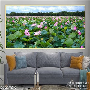 Tranh sơn dầu cánh đồng bát ngát hoa sen hồng in canvas