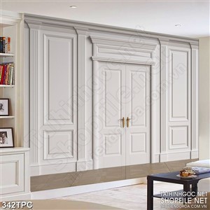 Tranh phào chỉ psd nghệ thuật cánh chính cửa luôn khép kín