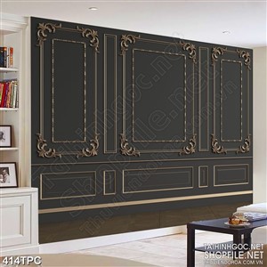 Tranh phào chỉ 5d bức tường đen mun với họa tiết đơn giản