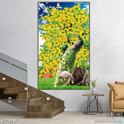 Tranh chậu bonsai mai vàng bên đôi chim công và in canvas