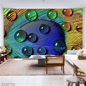 Tranh 3d treo tường những giọt nước đọng trên lông vũ