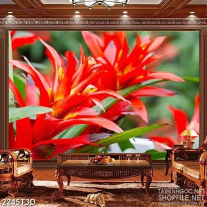 Tranh 3d dán tường bông hoa mào gà khoe sắc đỏ rực rỡ