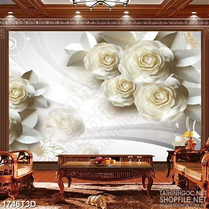 Tranh 3d dán tường những bông hoa hồng màu trắng psd