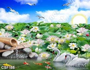 Tranh Đầm Hoa Sen Đẹp