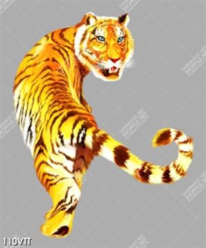 tuyển tập hàng loạt bộ tranh mãnh hổ lông tơ oai hùng 