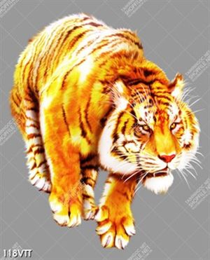 tranh vẽ mãnh hổ 3D uy nghiêm, oai vệ