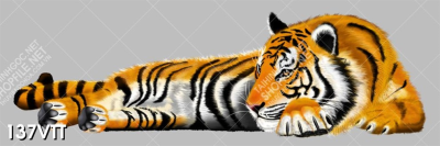 tranh hổ vằn con giáp ngày tết nhâm dần 2022