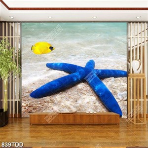 Tranh sao biển trên cát chất lượng cao
