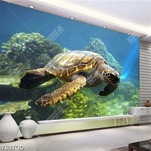 Tranh rùa và san hô dưới địa dưỡng xanh