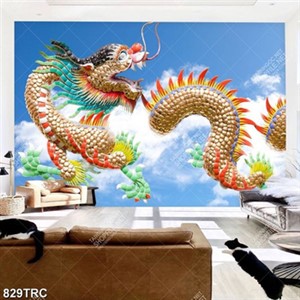Tranh Rồng trên bầu trời in siêu nét