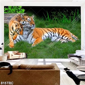 Tranh đôi hổ trên đồng cỏ