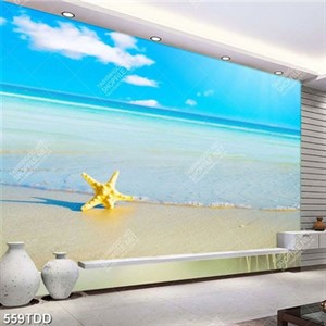Tranh mặt biển và sao biển chất lượng cao Tranh mặt biển và sao biển chất lượng cao