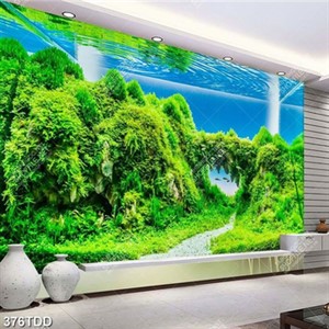 Tranh rêu trang trí hồ cá cảnh chất lượng cao