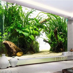 Tranh rong dưới biển đẹp độc đáo