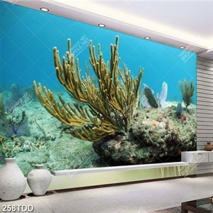 Tranh san hô dưới đáy biển file psd