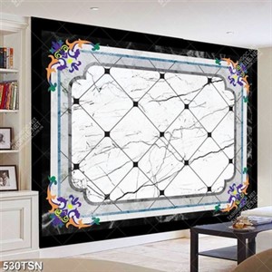 Tranh in gạch lát sảnh phòng khách đẹp