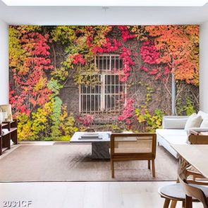 Tranh gắn tường khung cửa sổ bên dàn cây dây leo
