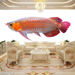 Tranh chú cá chép vàng xinh đẹp trên nền trắng psd Tranh chú cá chép vàng xinh đẹp trên nền trắng psd