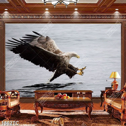 Tranh chim đại bàng