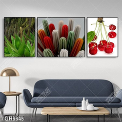 Tranh ghép 3 tấm cây xương rồng