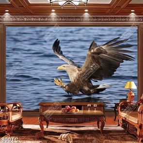 Tranh chim đại bàng trên mặt nước