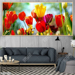 Tranh hoa tulip đẹp