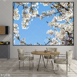 Tranh dán trần bầu trời hoa anh đào trắng