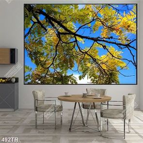 Tranh dán trần uv cành cây và bầu trời