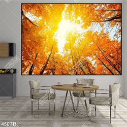 Tranh dán trần in 3d ánh sáng xuyên qua rừng cây lá vàng