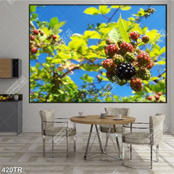 Tranh dán trần in 3d lá và quả