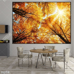 Tranh trần in uv ánh nắng chiếu qua những tán