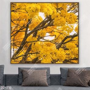Tranh trần nghệ thuật rừng cây lá vàng in uv