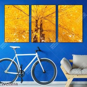 Tranh ghép cây màu thu